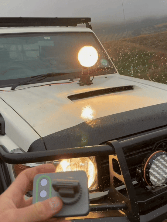 Auto Patrol